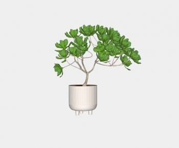 Modern Potted Green Plant-ID:737751011