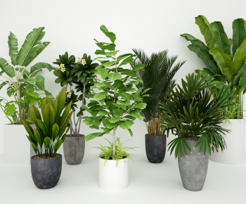 Modern Potted Green Plant-ID:587308882