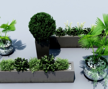 Modern Shrubbery-ID:484317065