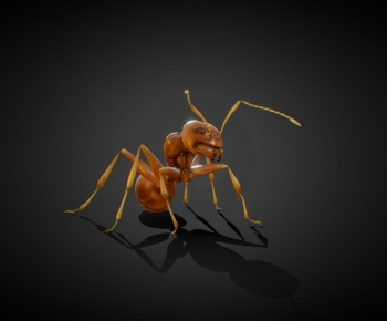 现代蚂蚁-ID:536971197
