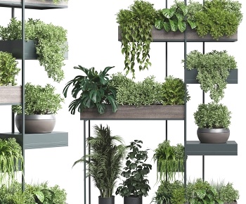 现代绿植盆栽花架3D模型