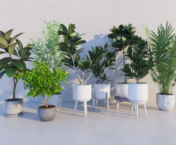 Modern Potted Green Plant-ID:425887114