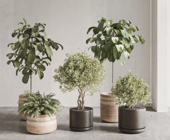 Modern Potted Green Plant-ID:474843036