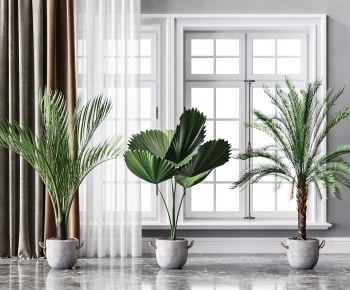 Modern Potted Green Plant-ID:790469889