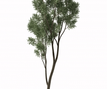 Modern Tree-ID:217046022