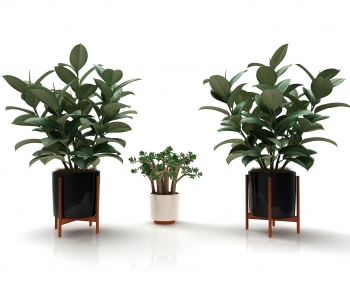 Modern Potted Green Plant-ID:291894916