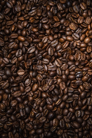 现代咖啡豆-ID:947052004