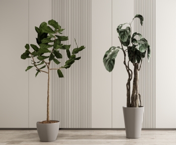Modern Potted Green Plant-ID:256942994