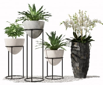 Modern Potted Green Plant-ID:462022077
