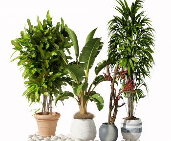 Modern Potted Green Plant-ID:518882046