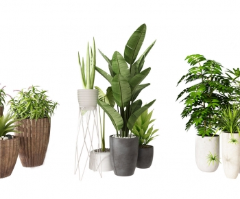 Modern Potted Green Plant-ID:539206989