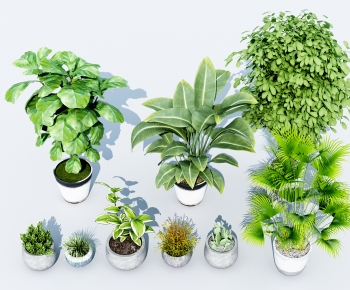 Modern Potted Green Plant-ID:824281938