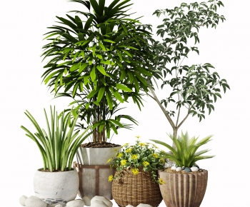 Modern Potted Green Plant-ID:213643078