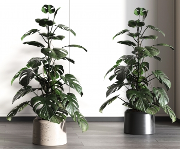Modern Potted Green Plant-ID:392848016