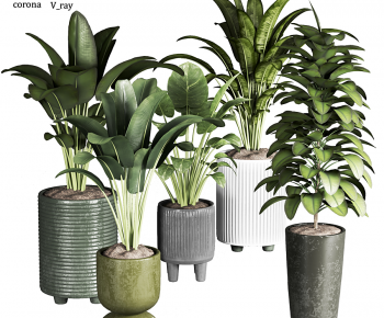 Modern Potted Green Plant-ID:205390931