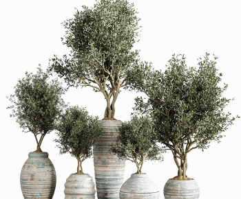 Modern Wabi-sabi Style Potted Green Plant-ID:220927001