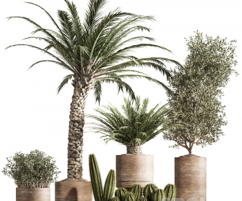 Modern Potted Green Plant-ID:370619353