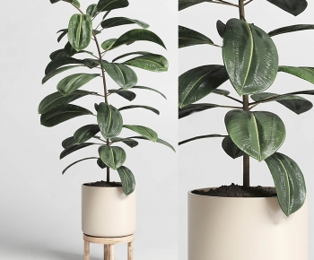 Modern Potted Green Plant-ID:389631033