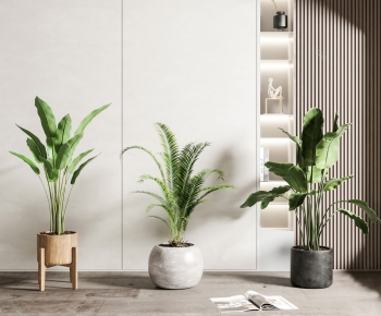 Modern Potted Green Plant-ID:215809319