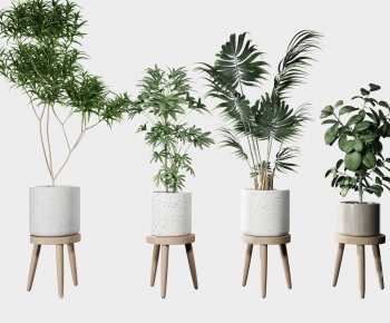 Modern Potted Green Plant-ID:255178933