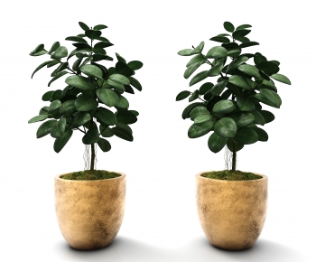 Modern Potted Green Plant-ID:721880916