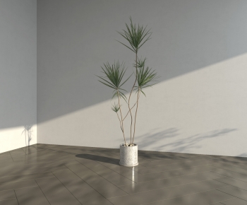 Modern Potted Green Plant-ID:250260117
