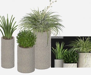 Modern Potted Green Plant-ID:129754077