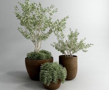 Modern Potted Green Plant-ID:140389922