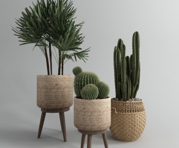 Modern Potted Green Plant-ID:338549615