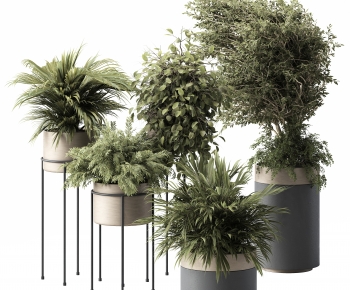 Modern Potted Green Plant-ID:670170833