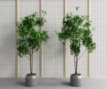 Modern Potted Green Plant-ID:682553056