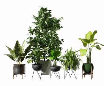 Modern Potted Green Plant-ID:237888102