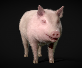 现代动物猪-ID:171111111
