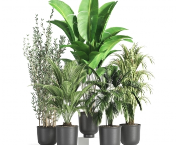 Modern Potted Green Plant-ID:371056088