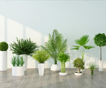 Modern Potted Green Plant-ID:376543055