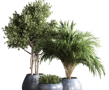 Modern Potted Green Plant-ID:813261034
