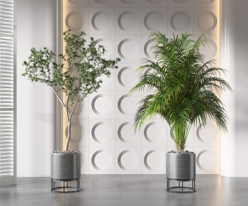 Modern Potted Green Plant-ID:570049051