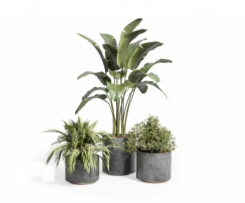 Modern Potted Green Plant-ID:255189906