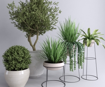 Modern Potted Green Plant-ID:206857924