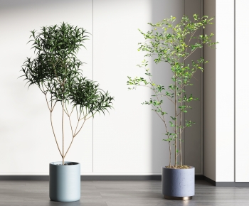 Modern Potted Green Plant-ID:781181103