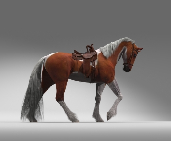 Modern Animal Horse-ID:576487061