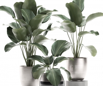 Modern Potted Green Plant-ID:657752046