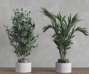 Modern Potted Green Plant-ID:457069925