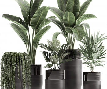 Modern Potted Green Plant-ID:498193035