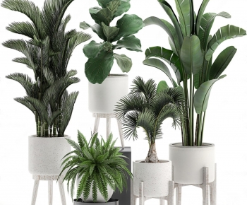 Modern Potted Green Plant-ID:122682091