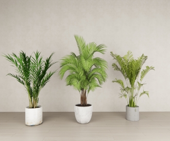 Modern Potted Green Plant-ID:751799117