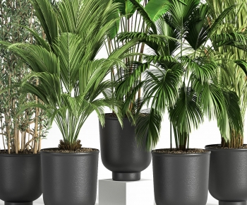 Modern Potted Green Plant-ID:938522109