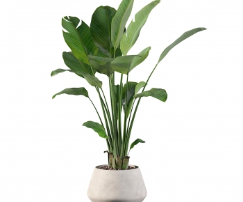 Modern Potted Green Plant-ID:936639072