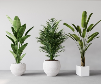 Modern Potted Green Plant-ID:912410029