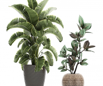 Modern Potted Green Plant-ID:677114967